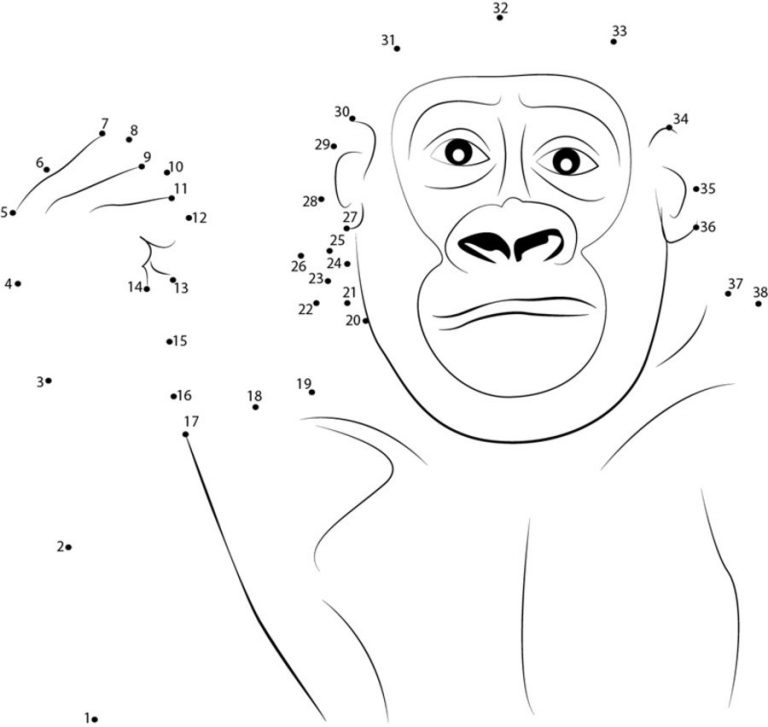 Connect the dots: Gorilla, printable for kids & adults, free