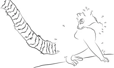 Coloring pages: Lemur