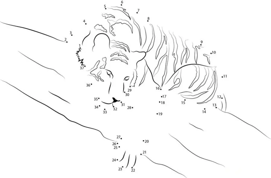 Connect the dots: Tiger 6