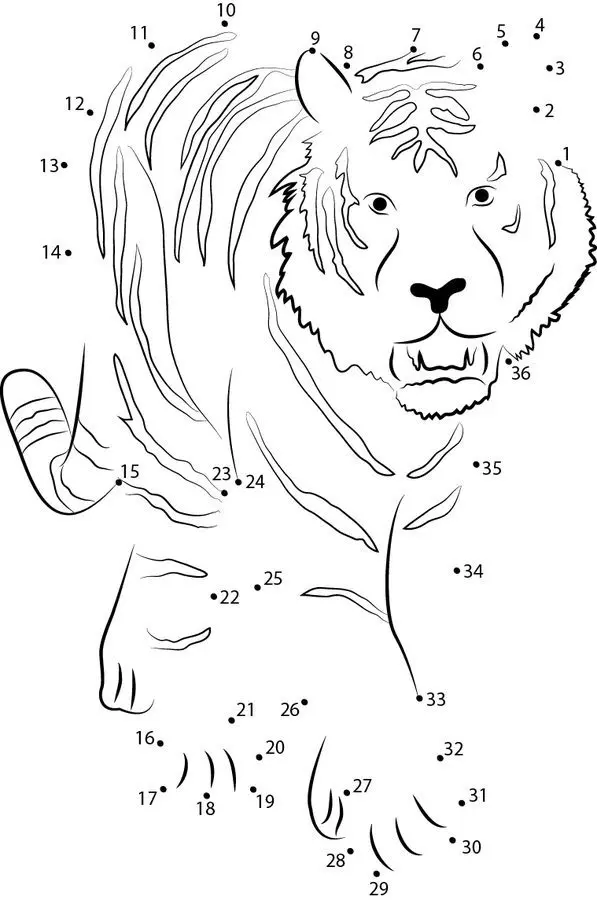 Connect the dots: Tiger 7