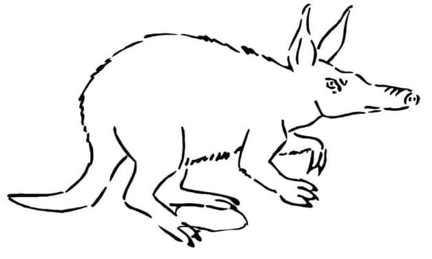 Coloring pages: Aardvark