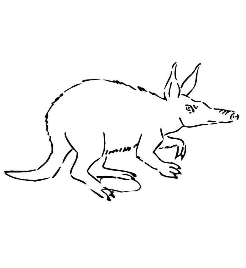 Coloring pages: Aardvark