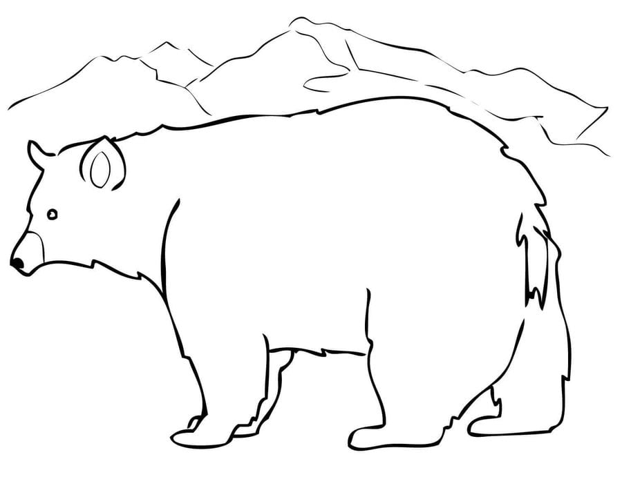 Coloring pages: American black bear