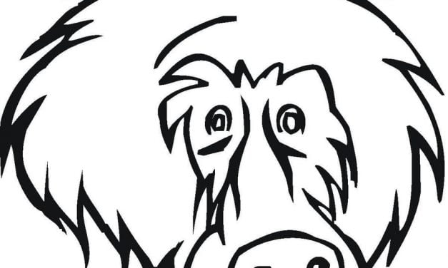 Coloring pages: Baboon