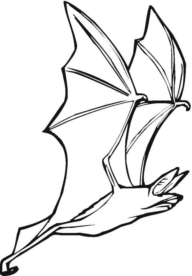 Coloring pages: Bat