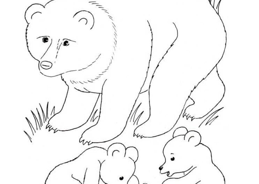 Kolorowanki: Niedźwiedź brunatny