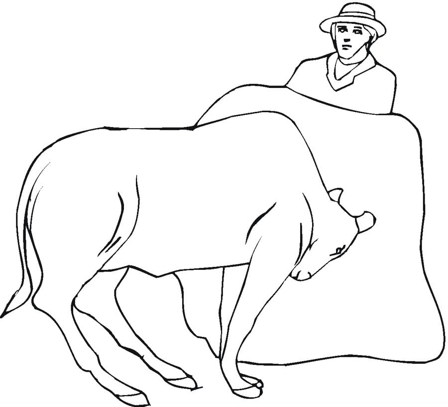 Coloring pages: Bulls