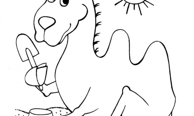 Coloring pages: Camel