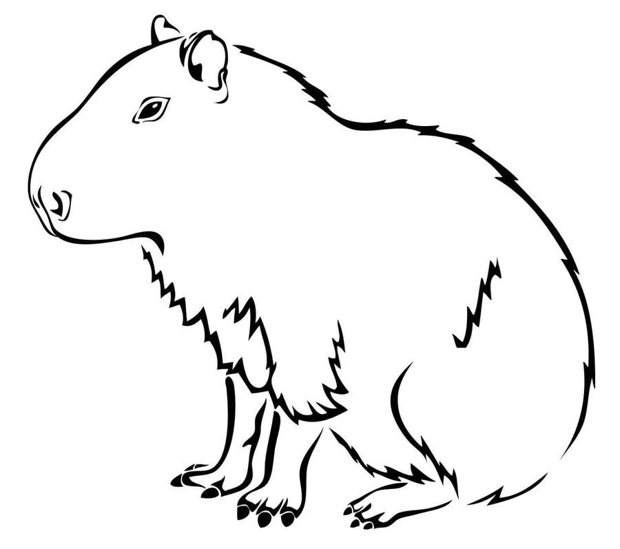 Capybara Animal Isolated Coloring Page for Kids 19979743 Vector Art at  Vecteezy