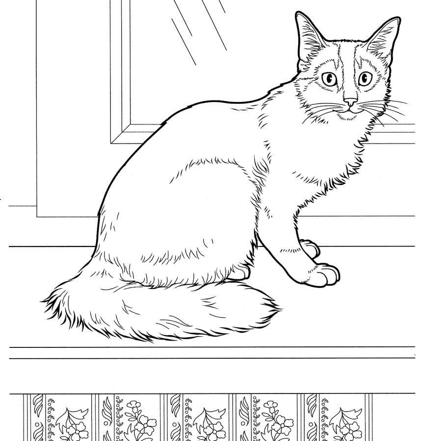 Dibujos para colorear: Gatos 10