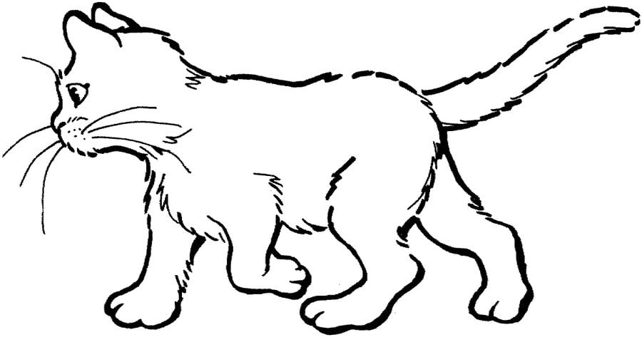 Dibujos para colorear: Gatos 4