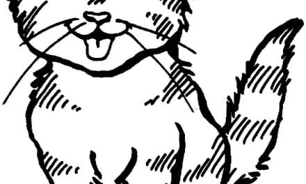 Coloring pages: Cats