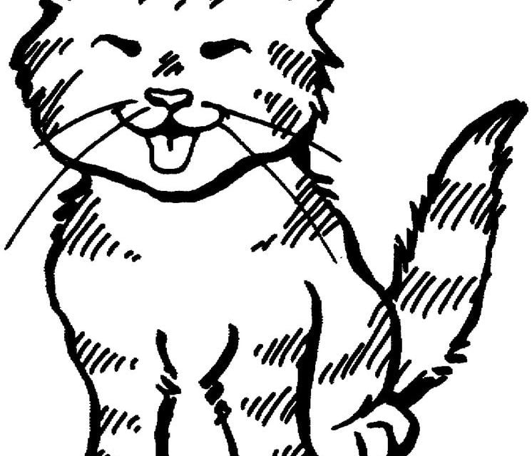 Coloring pages: Cats