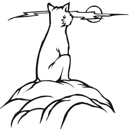 Coloring pages: Cougar, printable for kids &amp; adults, free