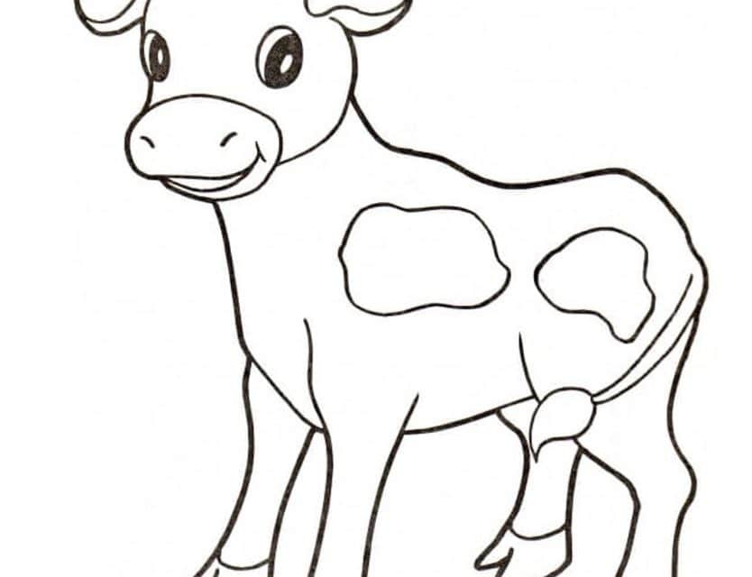 Kolorowanki: Krowa