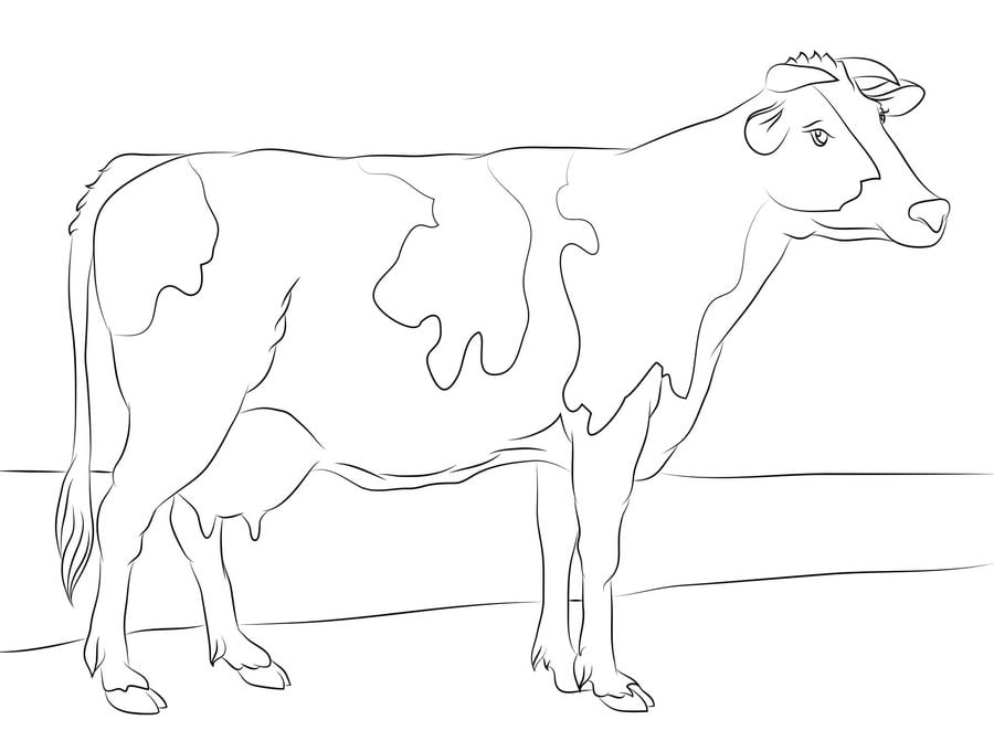 Coloriages: Vaches