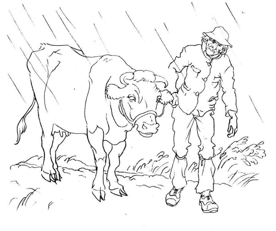 Dibujos para colorear: Vacas