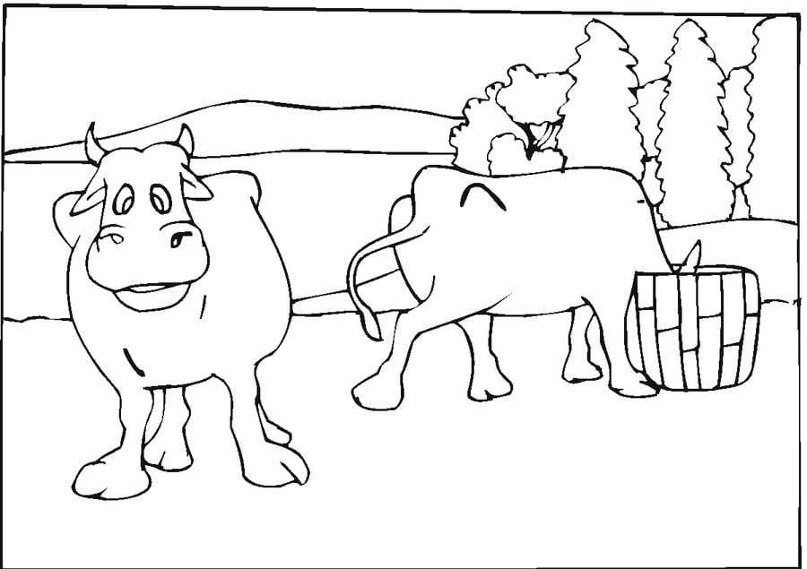 Dibujos para colorear: Vacas