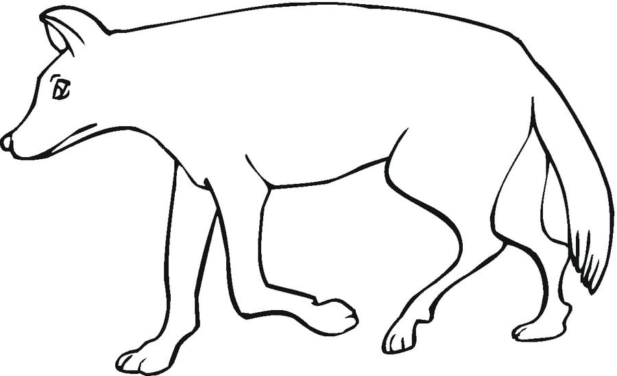 Coloring pages: Coyote 2