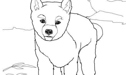 Disegni da colorare: Dingo