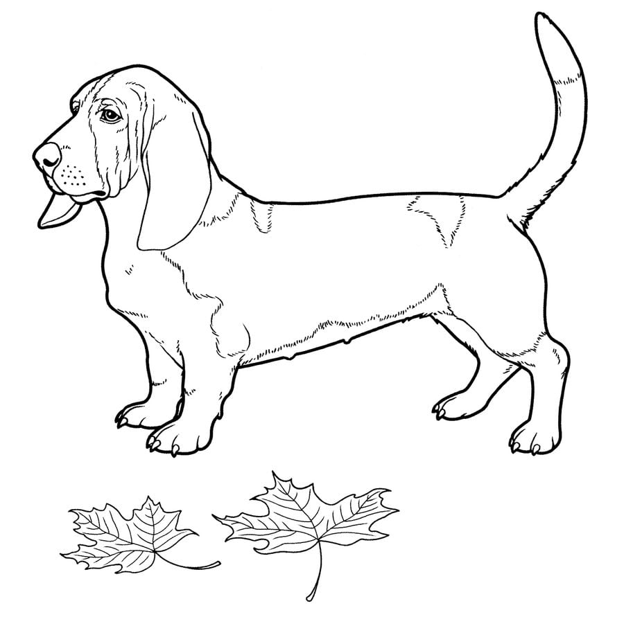 Dibujos para colorear: Perros 1