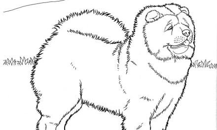 Coloring pages: Dogs