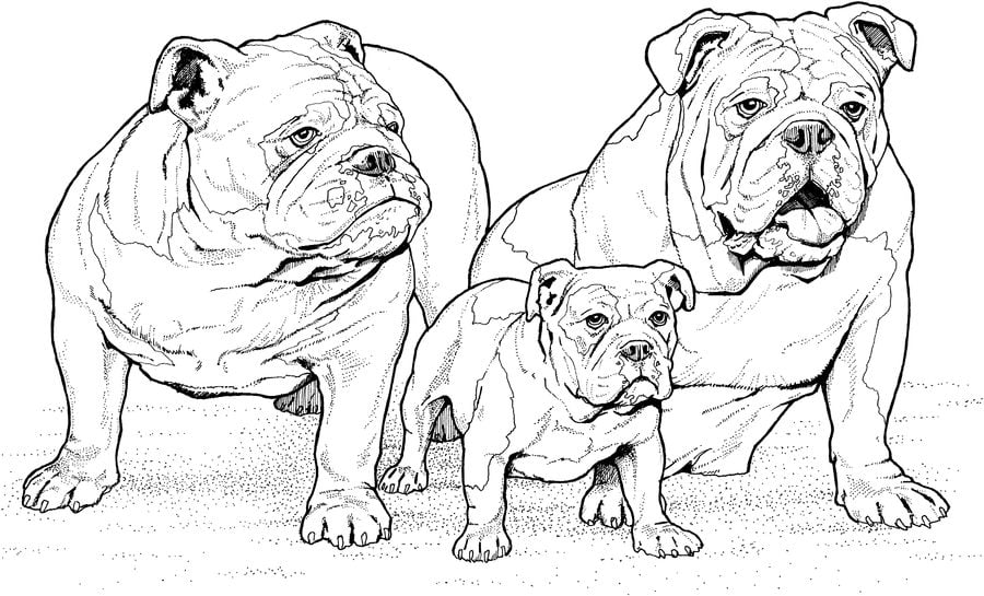 Dibujos para colorear: Perros 5
