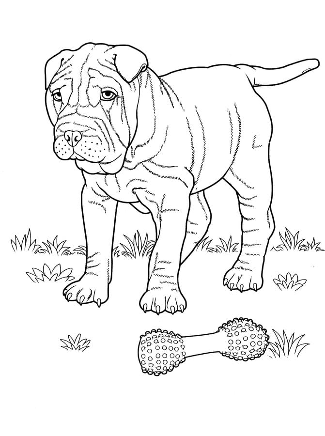 Coloring pages: Dogs