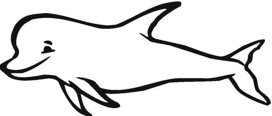 Dibujos para colorear: Delfines 5