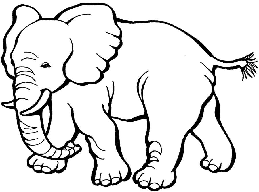 Disegni da colorare: Elefanti