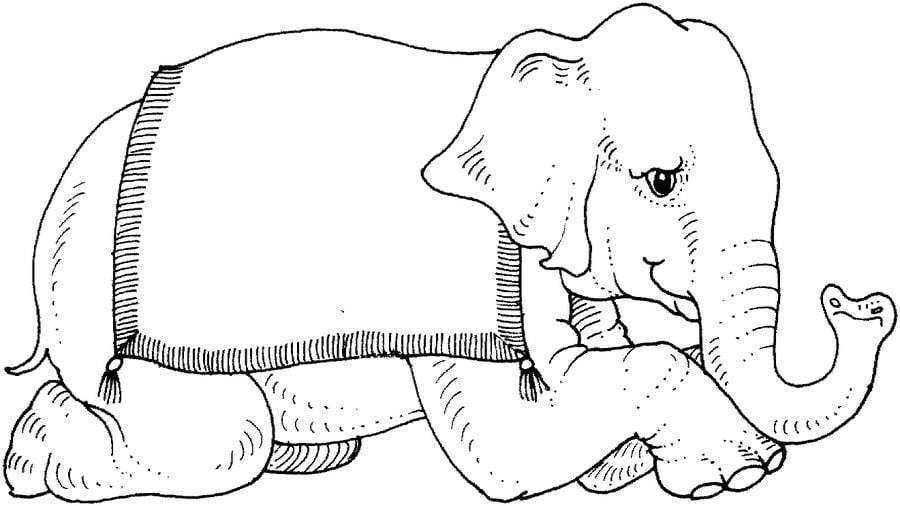 Ausmalbilder: Elefanten
