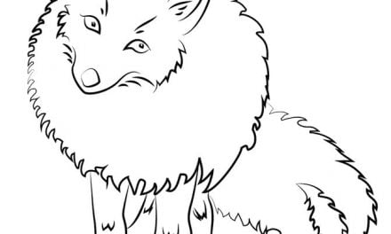 Coloring pages: Foxes