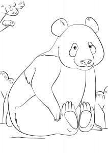 Coloring pages: Giant panda, printable for kids & adults, free