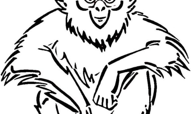 Coloring pages: Gibbons