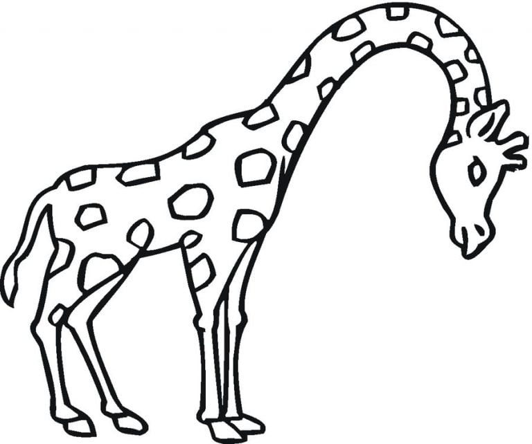 Malen Giraffe: Ausmalbilder für Groß und Klein – Kostenlos & Kreativ!