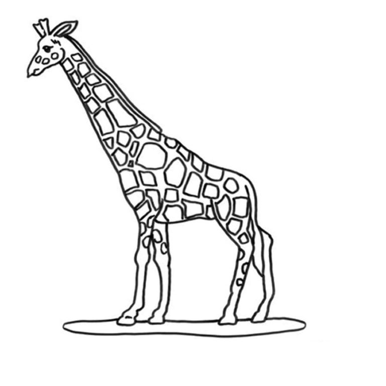 Coloring pages: Giraffes, printable for kids & adults, free