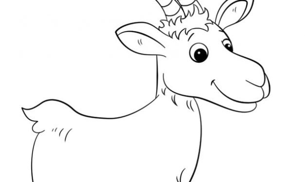 Coloring pages: Goats