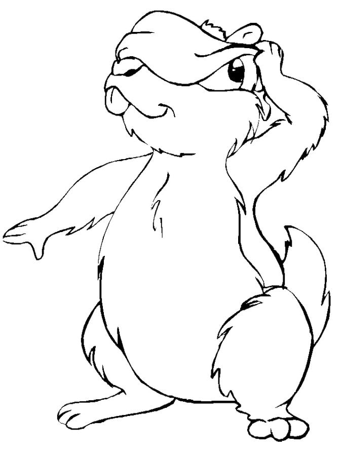 Coloring pages: Gopher