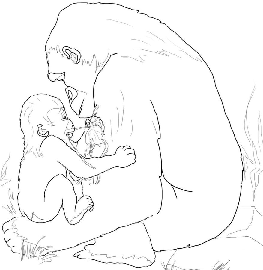 Coloring pages: Gorilla 2