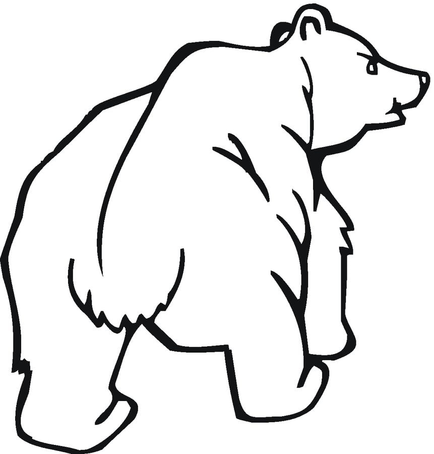 Coloring pages: Grizzly bear 2