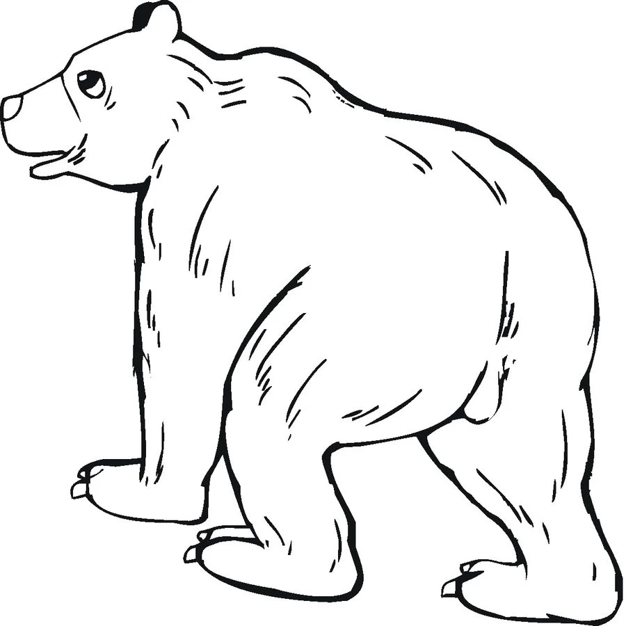 Coloring Pages: Grizzly Bear, Printable For Kids & Adults, Free