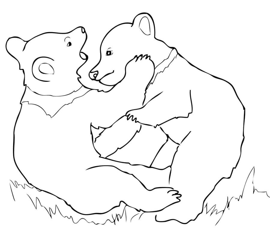 Coloring pages: Grizzly bear