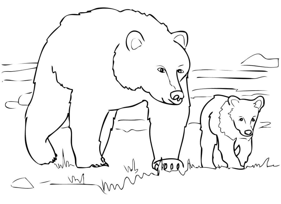 Disegni da colorare: Orsi grizzly 6