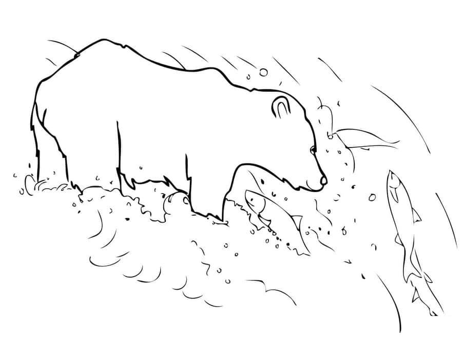 Coloring pages: Grizzly bear 7