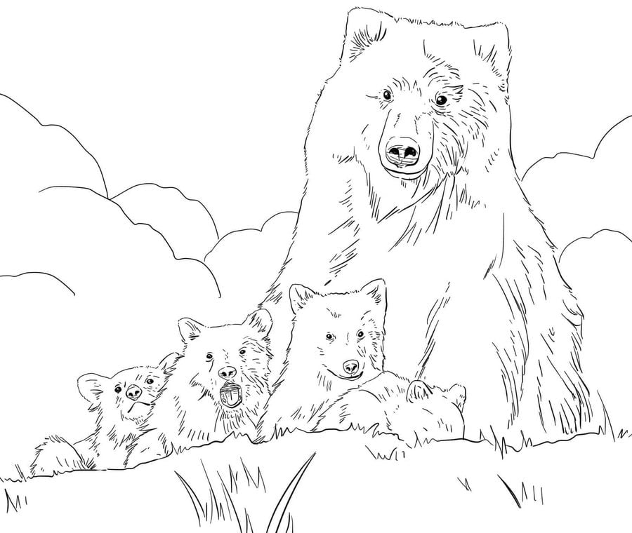 Dibujos para colorear: Oso grizzly 8