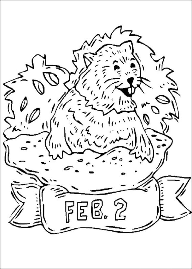 Coloring pages: Groundhog Day 5