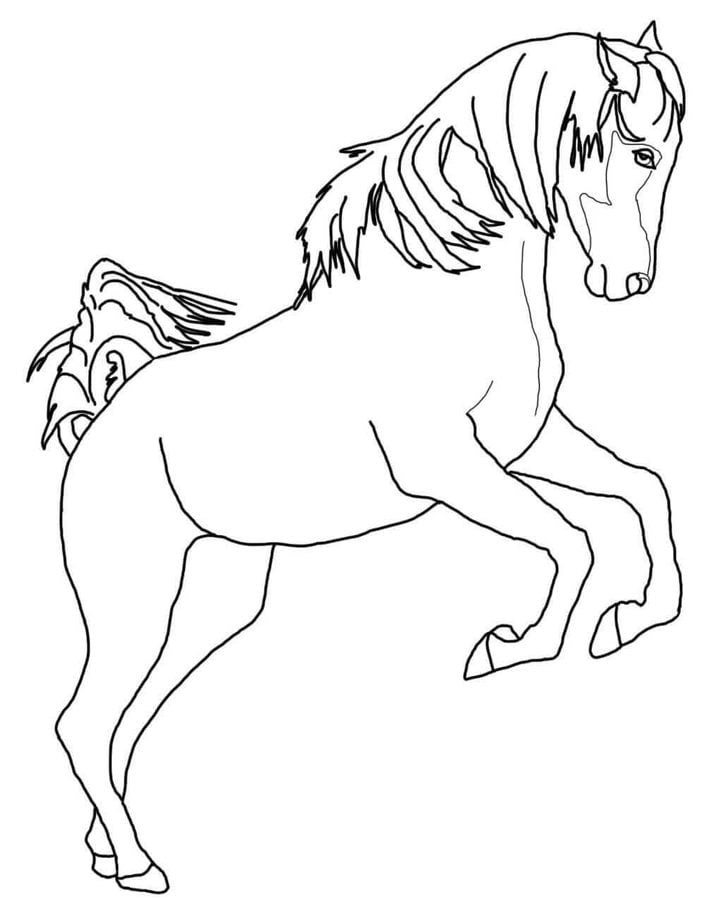 Disegni da colorare: Cavalli