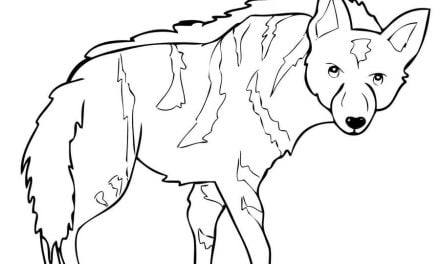 Coloring pages: Hyena