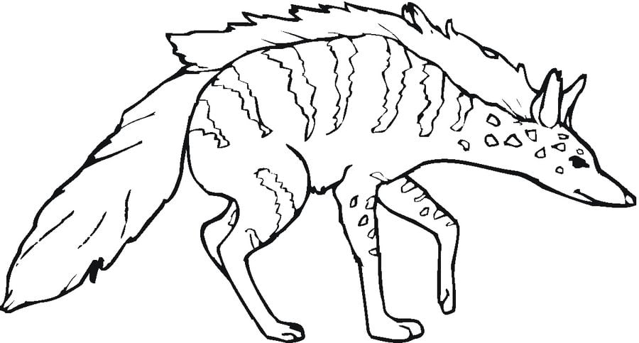 Coloriages: Hyène