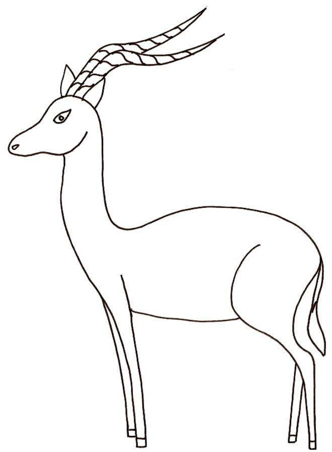 Disegni da colorare: Impala